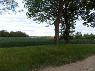 Blick vom Gut Buckhagen zur Schlei