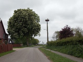 Storchennest in Christiansholm