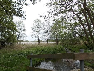 Blick auf den Fockbeker See