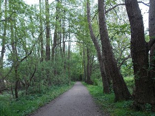 Wanderweg am Fockbeker See