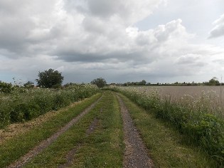 Wanderweg nach Gammellück