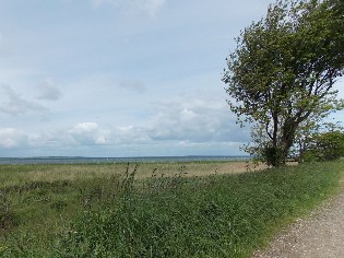 Blick von der Beveroe (Bieberinsel) auf die Flensburger Förde