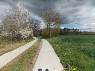 Betonspurplattenweg von Ulsnis nach Kius