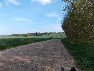 Fahrweg beim Gut Windeby