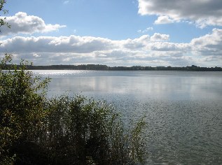 Blick auf das Windebyer Noor