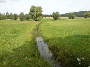 Die junge Altmühl am Altmühltal-Radweg