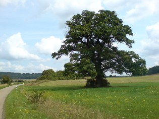 Am Altmühltal-Radweg bei Hegenau