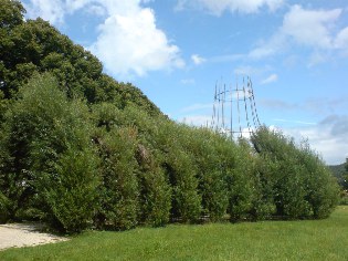 Altmühltal-Radweg: Weidenkirche in Pappenheim