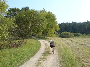 Unterwegs auf dem Radweg Berlin - Usedom - hier zwischen Lobetal und Biesenthal