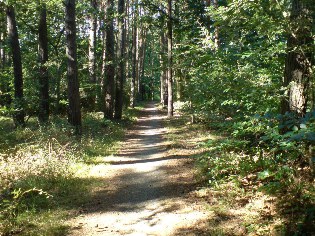 Radweg Berlin - Usedom bei Mönkebude