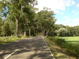 Radweg Berlin - Usedom kurz vor Nieden