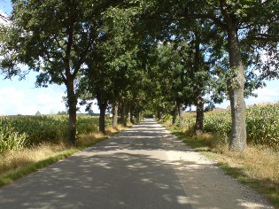 Radweg Berlin - Usedom: Unterwegs nach Viereck