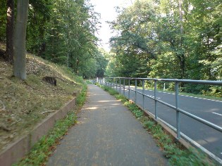 Unterwegs auf dem Radweg Berlin - Usedom - hier am Werbellinsee