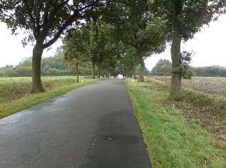 Allee bei Krusendorf