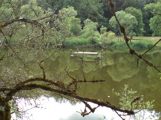 Unterwegs auf dem Donau-Radweg: Idylle an der jungen Donau