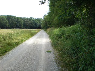 Donau-Radweg kurz vor Ingolstadt