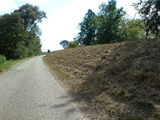 Donau-Radweg unweit von Niederalteich