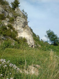 Am Donau-Radweg zwischen Ober- und Untermarchtal