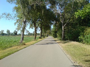 Donau-Radweg kurz vor Peterswörth