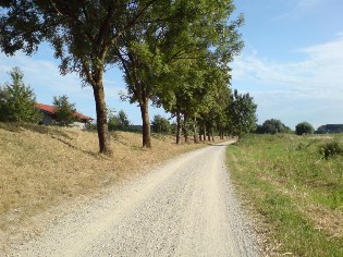 Donau-Radweg bei Sattling