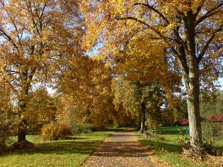 Unterwegs auf der Flaeming-Skate bei Golßen