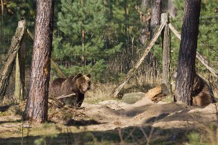 Wildpark Johannismühle