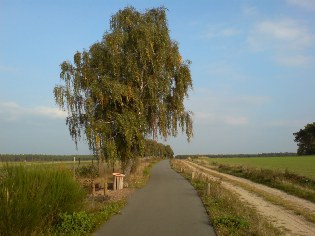 Unterwegs auf der Flaeming-Skate: Unweit von Schlenzer