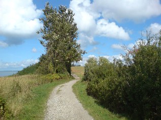 Unterwegs auf dem Ostsee-Radweg bei Altefähr auf der Insel Rügen