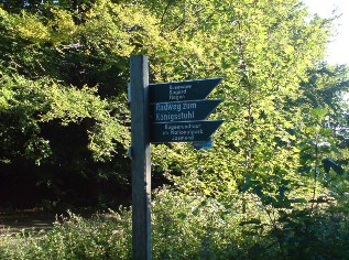 Wegweiser im Nationalpark Jasmund auf der Insel Rügen - Ostsee-Radweg