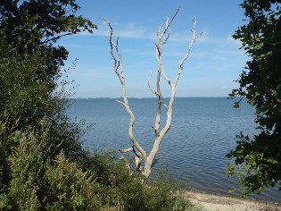 Unterwegs auf Ostsee-Radweg