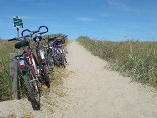 Am Ostsee-Radweg