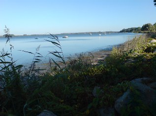 Boddenküste auf Rügen