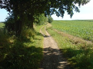 Ende der Ausbaustufe: Ostsee-Radweg bei Tarnewitz