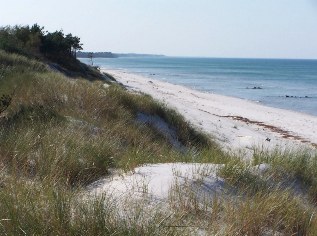 Nationalpark Vorpommersche Boddenlandschaft