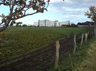 Unterwegs auf dem Ostseeküsten-Radweg: Blick auf den Ostsee-Ferienpark in Heiligenhafen