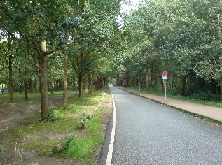 Unterwegs auf dem Ostseeküsten-Radweg: Palisadenweg in Kiel