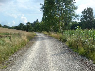 Unterwegs auf dem Radweg Liebliches Taubertal: Zwischen Bieberehren und Creglingen